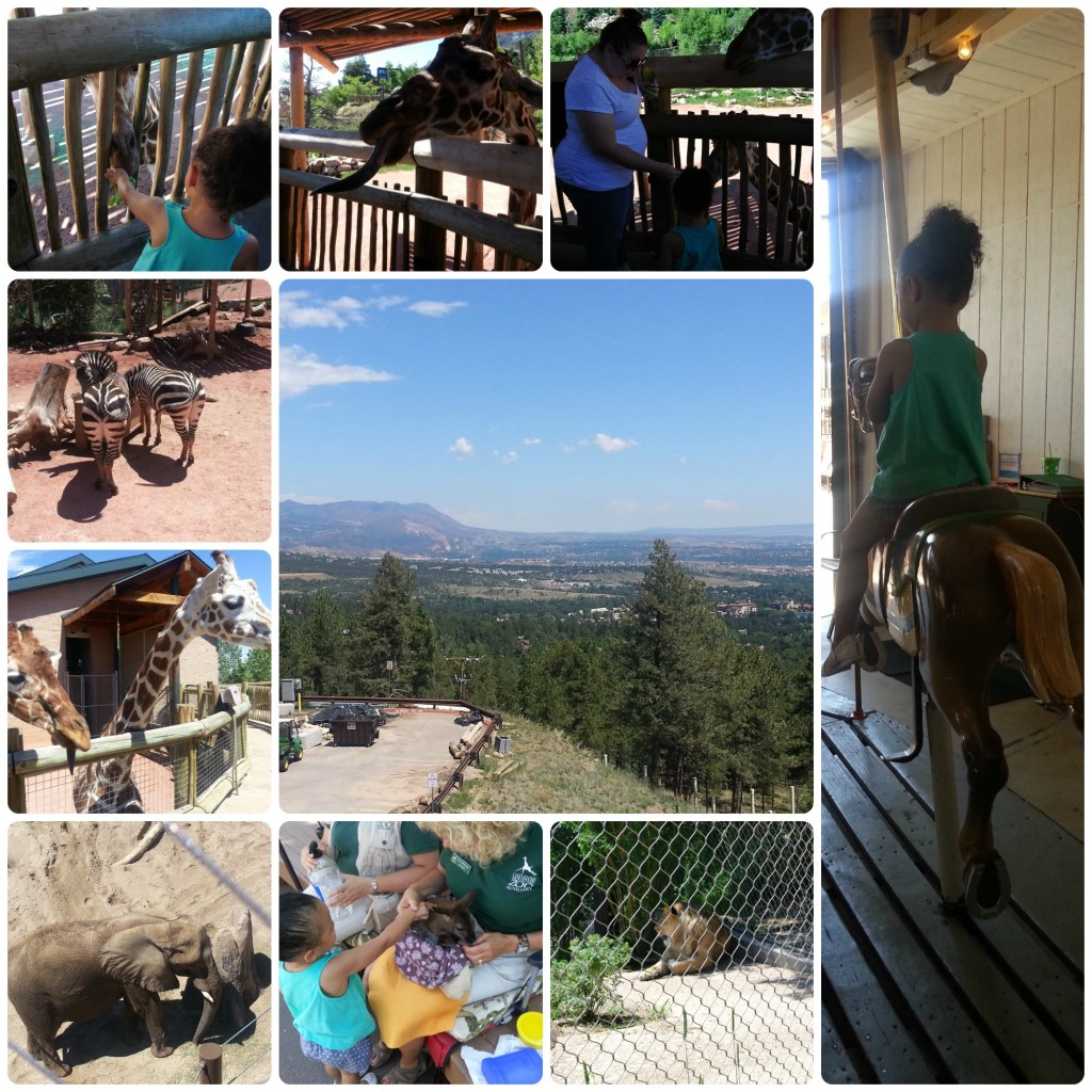 Cheyenne Mountain Zoo