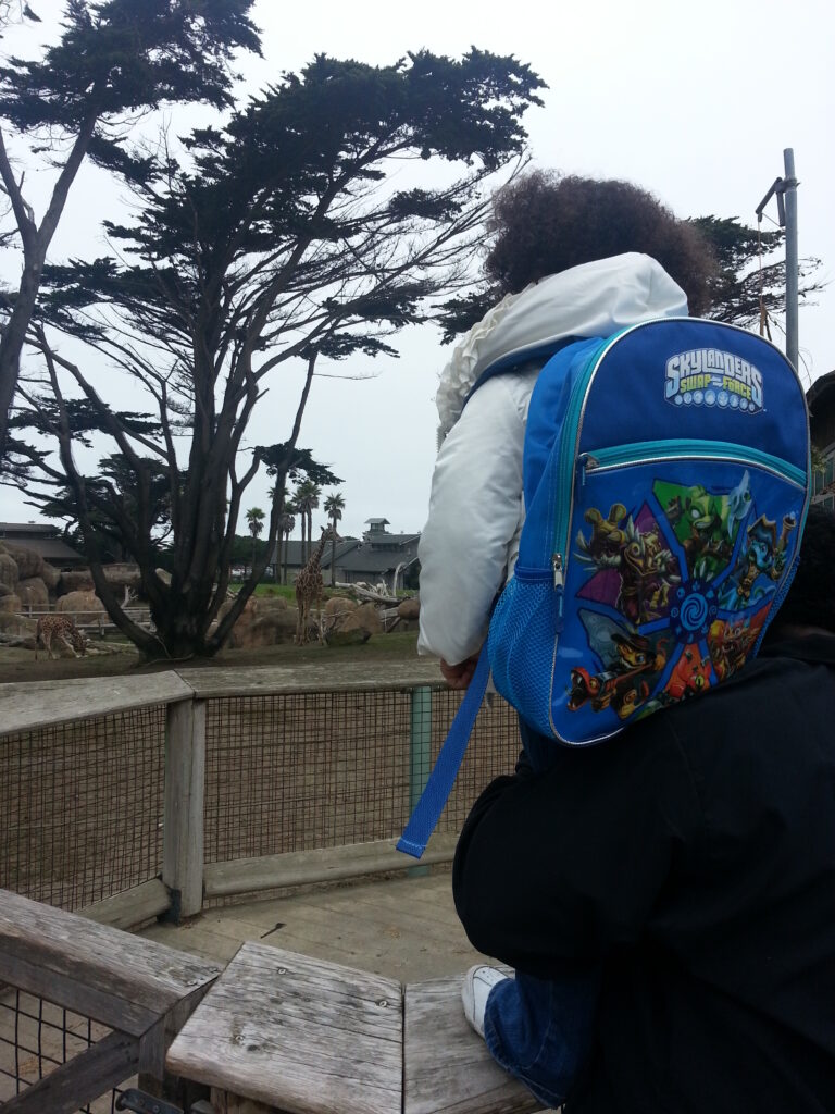 SF Zoo