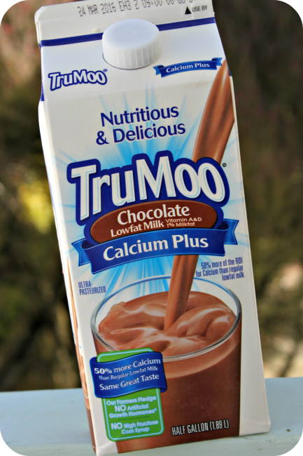 TruMoo Calcium Plus Chocolate Milk