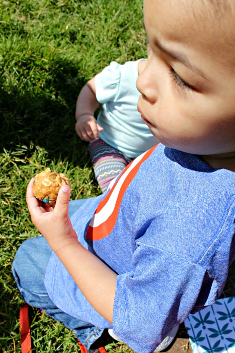 Snack Time Crissy Field