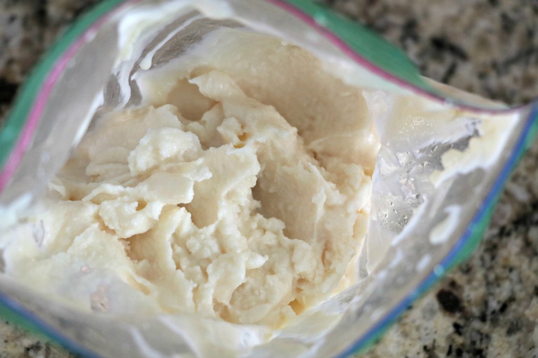 make ice cream in a bag Online Sale