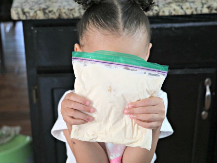 Kid Recipe Homemade Ice Cream In A Bag The Denver Housewife