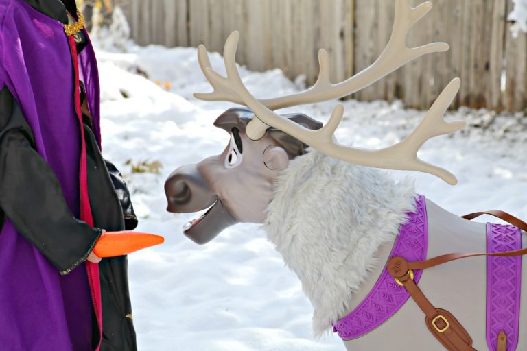 frozen sven playdate