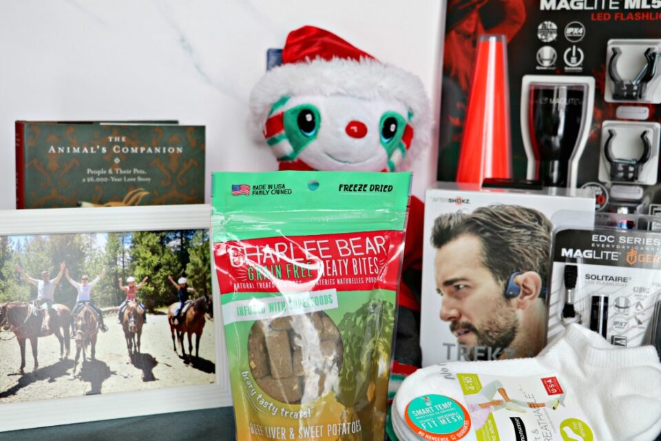 The Best Unique Stocking Stuffers & Gifts For All! » The Denver Housewife