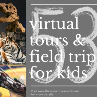 53 Virtual Tours and Field Trips for Kids