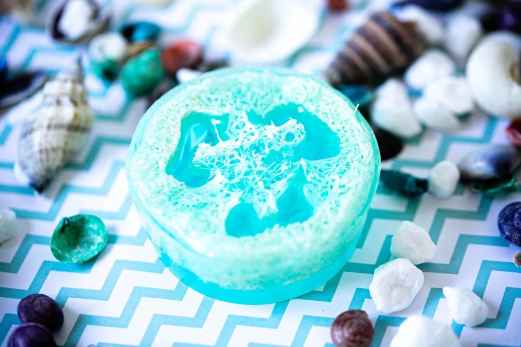 Homemade Beachy Happiness Loofah Soap
