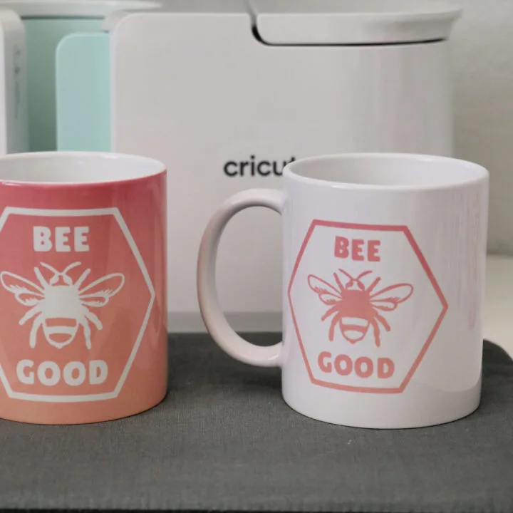 Cricut Mug Press Review