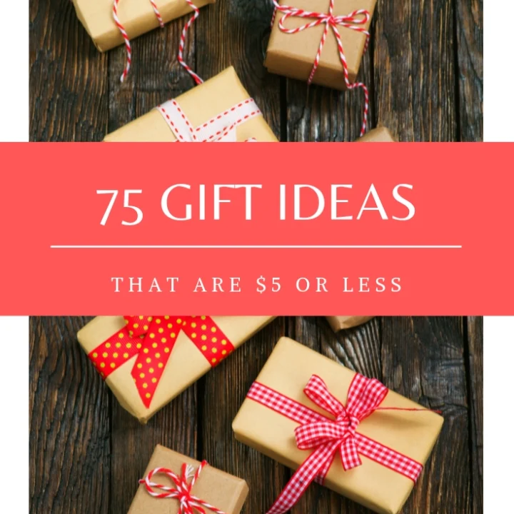 https://www.thedenverhousewife.com/wp-content/uploads/2021/08/75-gift-ideas-that-are-less-than-5.png-720x720.webp