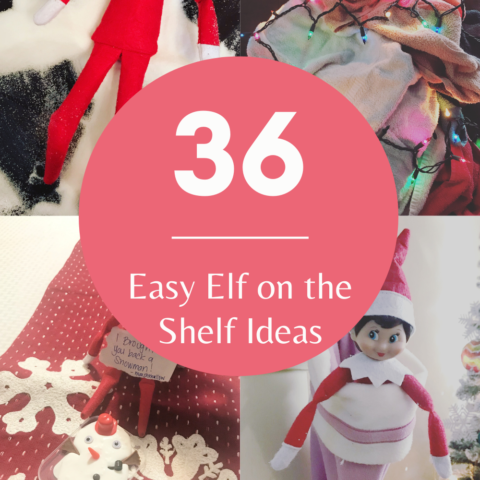 Easy Elf on the Shelf Ideas » The Denver Housewife